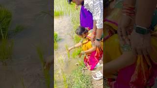 My love couples   yashu  sony #viral #lovestory #lovers #village #vlogs #shorts #viralvideo