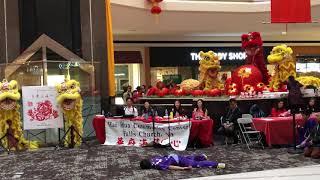 NOVA Wushu - 2020 Lunar New Year Performance @ Fair Oaks Mall