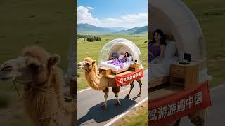 在草原上骑骆驼，睡在透明帐篷里，自由自在游遍中国！#即梦ai#自驾游