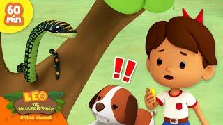 SLITHERING SERPENTS!  Snakes, Chameleon & more!  | Leo the Wildlife Ranger | Kids Cartoons