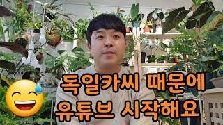 식물집사 독일카씨 때문에 유튜브 시작한 쿠자이너