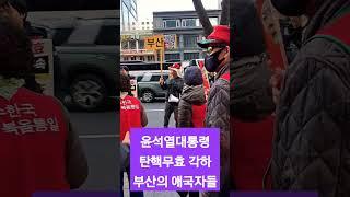 윤석열대통령 탄핵무효 각하 부산의 애국자들 #광화문 #부산  #윤석열대통령 #탄핵무효 #탄핵 각하 #애국자 #애국운동