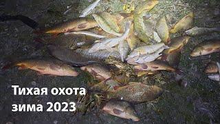 Тихая охота зима 2023 ночная подводная охота 2023 подводная охота 2023 подводная охота ночью 2023