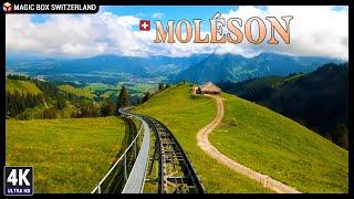 Moléson 4K  Family Attractions & Funicular + Cable Car to Swiss Prealps Mountain, La Gruyères Ep#2