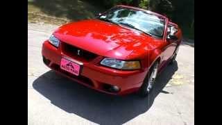 1999 Ford Mustang Cobra Convertible - Auto Haus on Velp