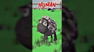 We Were WARNED About WOOLY In Amanda The Adventurer 1 #shorts