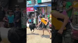 SULTAN Is Back 2024 Dharavi King  Sultan #goat #kotagoat #bakra #bakraeid #sultangoat #dharavi