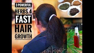 3 Powerful Herbs 4 Fast Hair Growth 