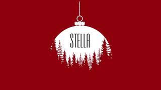 Nar Media - Stella New Year