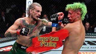 Sugar Sean O'Malley Best Knockouts / Highlights - “Soldier”