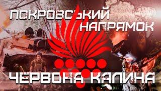 Пріоритетні цілі для FPV,  сталева піхота, робота бронегруп та артилерії: бригада ЧЕРВОНА КАЛИНА НГУ