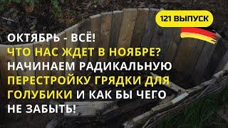 Дача в Германии. Посадил чеснок - поделись опытом. Неправильно посадил голубику - все переделывай!