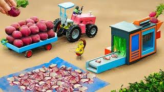 Diy tractor making mini Fruits Slicer Machine | diy Packaging Line Machine | HP Mini