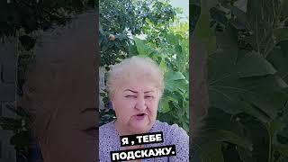 Зарабатывай со мной.Компания легальная,проверенная.Вывод денег 100%