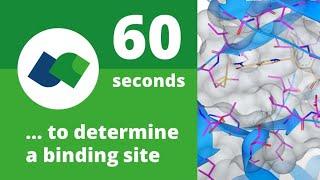 60 seconds to determine a binding site!