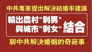 中共专家提出：输出农村剩男与城市剩女结合。聊中共解决婚姻的奇葩事。2021.02.18NO658#农村剩男#城市剩女#结婚率