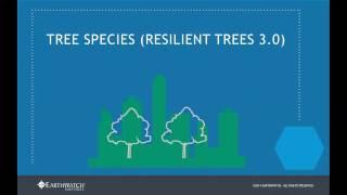 Tree Species (Resilient Trees 3.0)