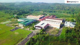 HLB Jumpstart - Primus Wellness | Deepavali 2023