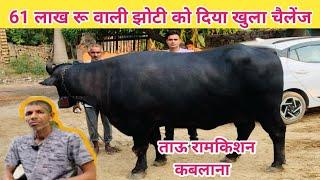 61 लाख रु वाली झोटी को दिया खुला चैलेंज, ताऊ रामकिशन कबलाना Rudra choudhary dairy farm buffalo