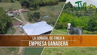 Como Transformar tu Finca a Empresa Ganadera - TvAgro por Juan Gonzalo Angel