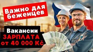 Хочешь остаться в Чехии? Эти вакансии дадут тебе ВНЖ!