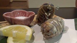 まるで深海のダンゴムシ、食用です　ふるさと納税で注目のオオグソクムシ