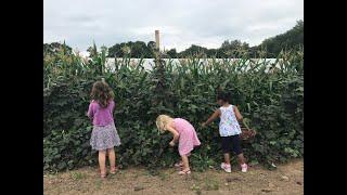 The Evolution of Stone Acres Farm