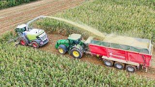 Maisernte 2024 mit Claas Jaguar 970 + John Deere 8400R,  Mercedes Arocs | LU Teichmann