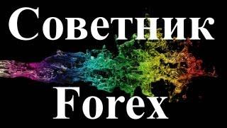 Как зарабатывать на Forex от 30 000 рублей в Месяц? Лучший советник форекс