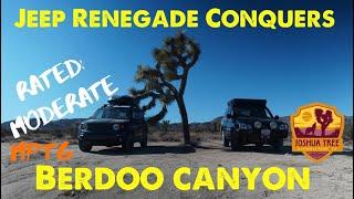 Berdoo Canyon Trail//Joshua Tree National Park//Easy Trail//Socal