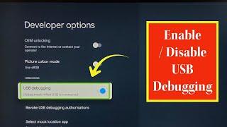 Google TV : How to Enable USB Debugging Mode