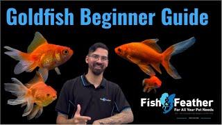 Goldfish Beginner Guide.