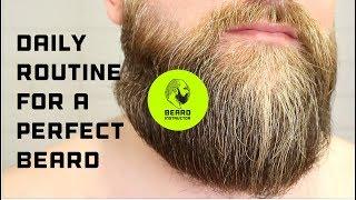 My daily beard care routine | Beard Instructor