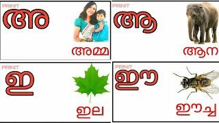 Malayalam Alphabets/ മലയാളം അക്ഷരമാല സ്വരാക്ഷരങ്ങൾ /അക്ഷരങ്ങൾ വെച്ചിട്ടുള്ള വാക്കുകൾ