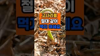 고사리를 절대 같이 먹지 마세요 #면역 #음식 #건강 #제철음식 #고사리