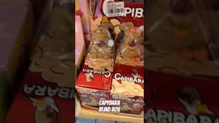 #capybara blind box #bara #capy #kapibara