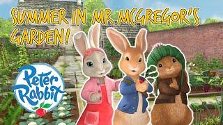 @Peter Rabbit - Summer in Mr McGregor's Garden! | Cartoons for Kids