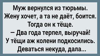 Как Зять Из Тюрьмы Вышел! Сборник Свежих Анекдотов! Юмор!