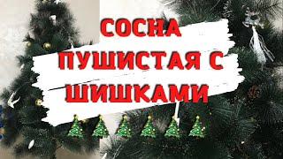 ОБЗОР ЕЛКИ. НОВЫЙ ГОД 2022. ПОПУЛЯРНАЯ МОДЕЛЬ ИСКУССТВЕННОЙ СОСНЫ. КАЧЕСТВО