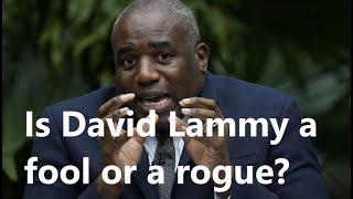 Is David Lammy an ignorant fool or a malicious liar?