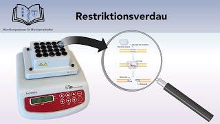 RESTRIKTIONSVERDAU