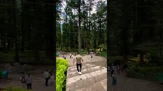 Hadimba maa in manali #manali #travel #hadimbadevitemple #travelvlog #shortvideo #shorts #short