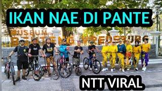 IKAN NAE DI PANTE // ALFRED GARE FT PAX  GROUP // NTT VIRAL LINE DANCE