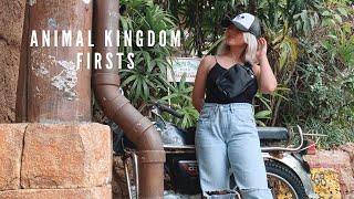 Things We Have Never Done in the Parks - Disney's Animal Kingdom