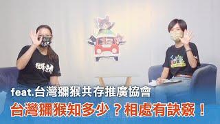 《台灣心事》EP76.20220721台灣獼猴知多少？#台灣獼猴共存推廣協會 秘書長－林美吟報齁哩災！