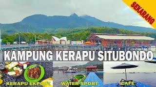 Kampung Kerapu Situbondo Sekarang 