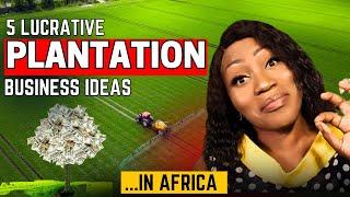 5 Plantation Business Ideas That'll Blow Your Mind In Africa