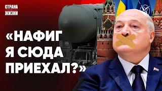 ШОКОВАЯ ПОРЦИЯ БРЕДА ОТ ЛУКАШЕНКО. Мигранты напали на пограничников. Лавров неожиданно высказался