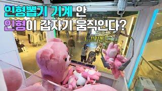 What if Belly surprises people in the claw machine? Hahaha