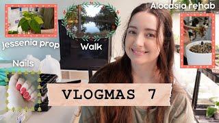 Vlogmas Day 7 | Jessenia Propagation, Alocasia Rehab, Short Walk & Nails 